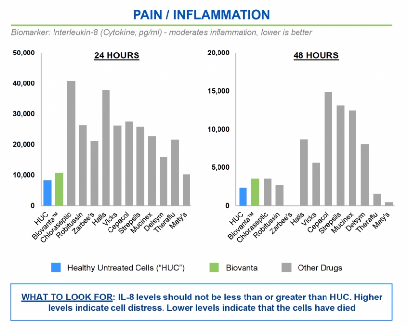 Pain / Inflammation