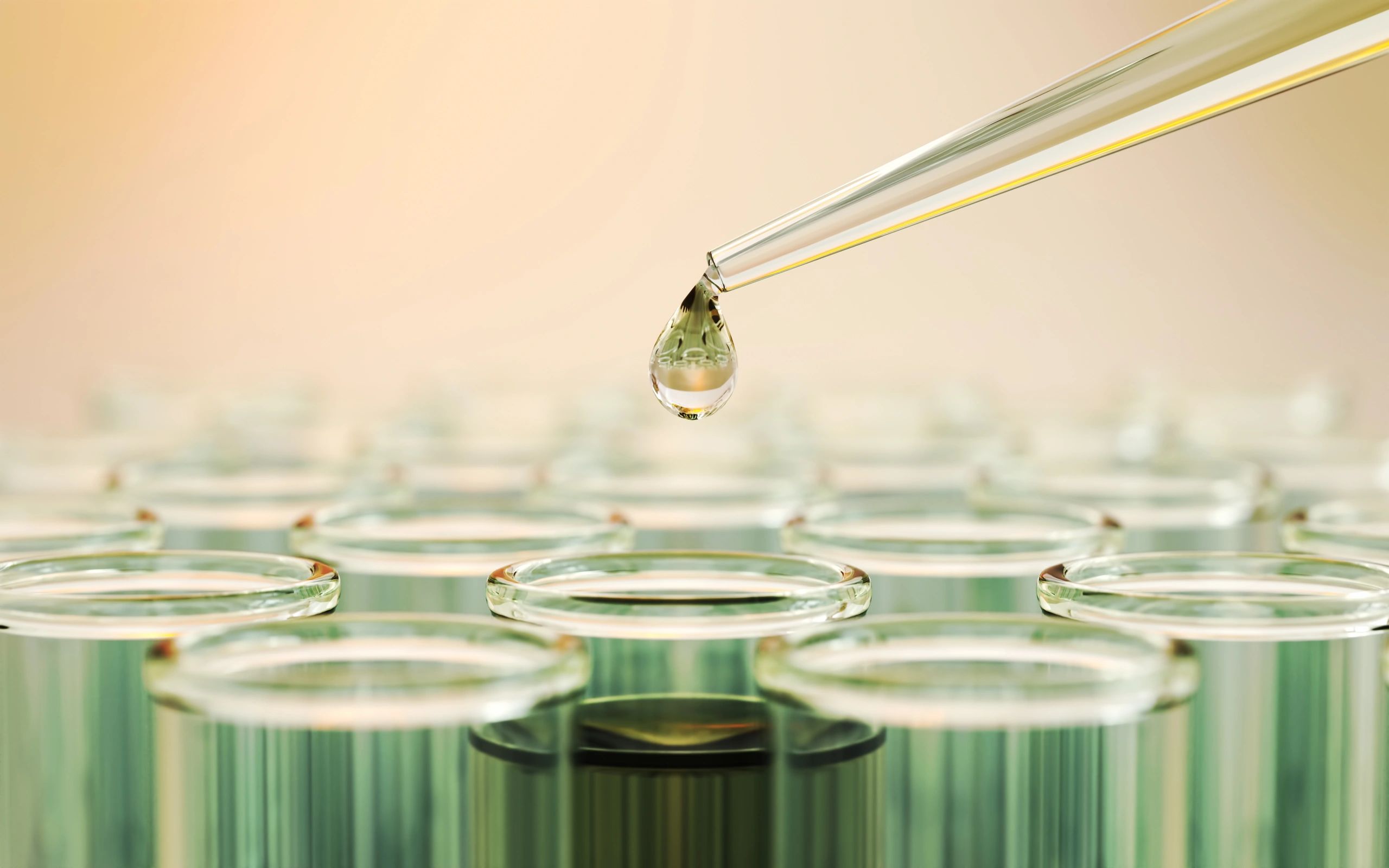 biotechnology research laboratory